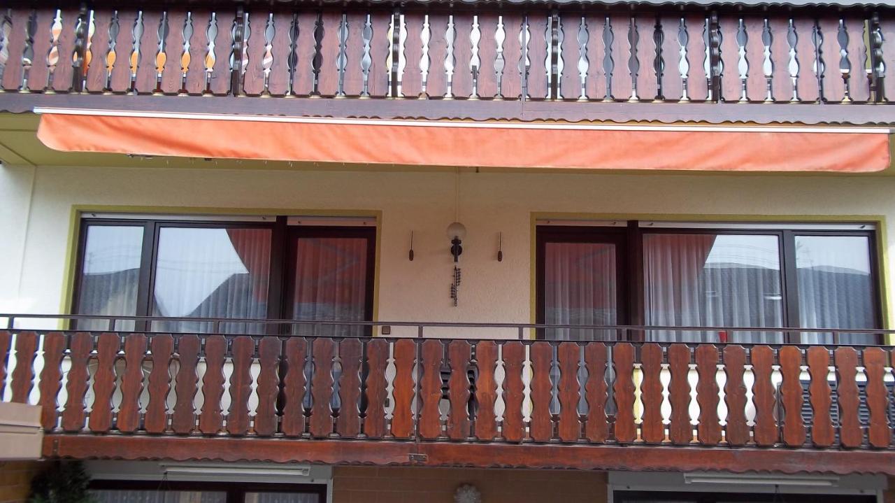 Ferienwohnung Keine Monteurvermietung Naehe Heidelberg Hockenheim Bds Anlage Philippsburg 外观 照片